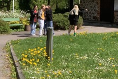 IMG_8485