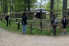 IMG_8506