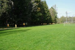 DSCF8198