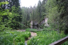 DSCF6016
