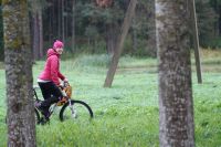 IMG_7691